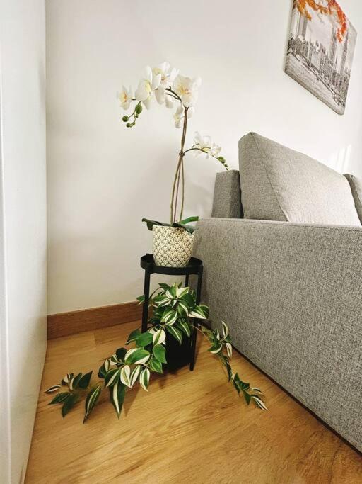 Apartment In The Heart Of มาลากา ภายนอก รูปภาพ